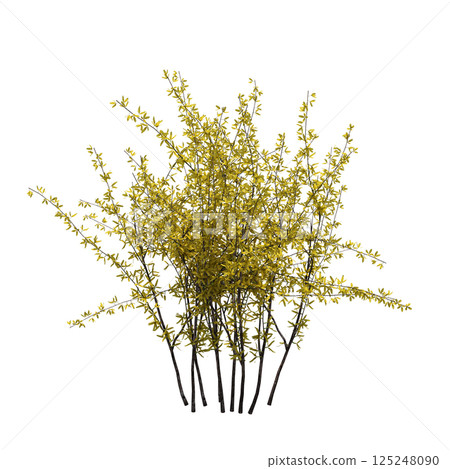 bush isolate on a transparent background, 3D illustration, cg render 125248090