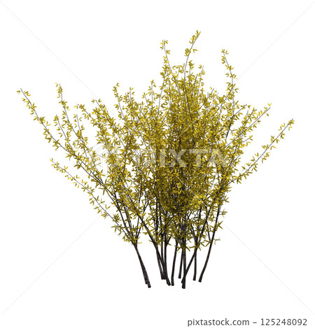 bush isolate on a transparent background, 3D illustration, cg render 125248092