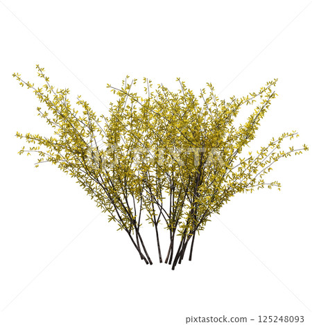 bush isolate on a transparent background, 3D illustration, cg render 125248093