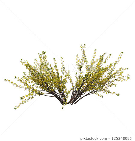 bush isolate on a transparent background, 3D illustration, cg render 125248095