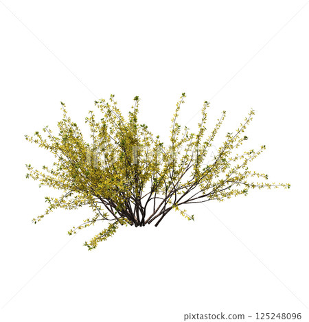 bush isolate on a transparent background, 3D illustration, cg render 125248096