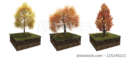 Deciduous tree and soil cut under it. Isolated garden element, 3D illustration, cg render Deciduous tree and soil cut under it. Isolated garden element, 3D illustration, cg render 125248221