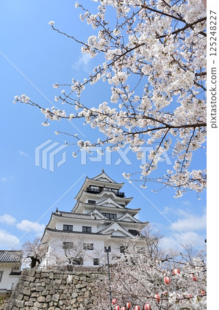 城堡塔樓和櫻花（福山城） 125248227