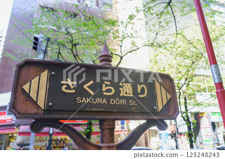 [Tokyo Chuo Ward] Sakura Street 125248243