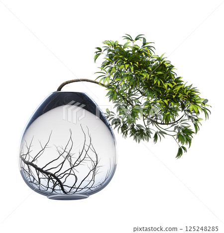 decorative bonsai tree isolated on a transparent background, 3D illustration, cg render 125248285