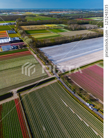 Aerial footage shows colorful tulip fields, greenhouses, and canals stretching across the flat Dutch landscape, with a lake and distant towns visible under an overcast sky. 125248335