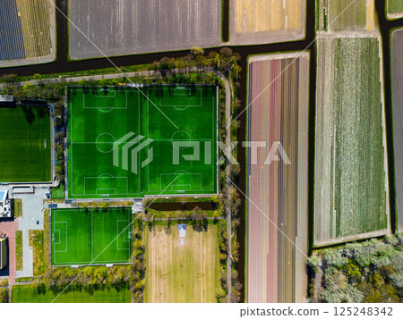 A top-down aerial view of multiple football fields surrounded by blooming tulip fields and narrow canals, blending sports infrastructure with the colorful Dutch agricultural landscape. 125248342