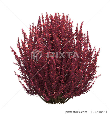 big tree, isolate on a transparent background, 3d illustration big tree, isolate on a transparent background, 3d illustration 125248431