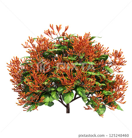 big tree, isolate on a transparent background, 3d illustration 125248460