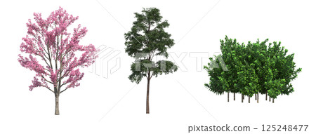big tree, isolate on a transparent background, 3d illustration 125248477