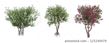 big tree, isolate on a transparent background, 3d illustration 125248479