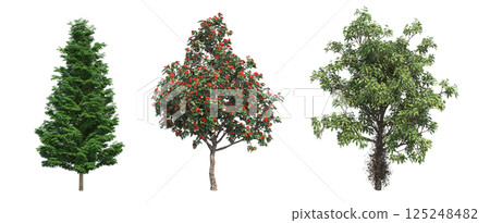 big tree, isolate on a transparent background, 3d illustration big tree, isolate on a transparent background, 3d illustration 125248482
