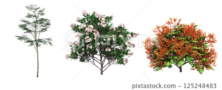 big tree, isolate on a transparent background, 3d illustration 125248483