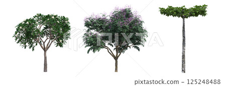 big tree, isolate on a transparent background, 3d illustration big tree, isolate on a transparent background, 3d illustration 125248488