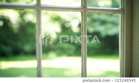 Clear glass window overlooking lush green garden on a sunny day. 125248545