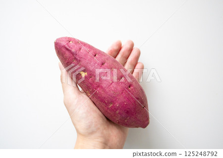 手掌上的地瓜 125248792