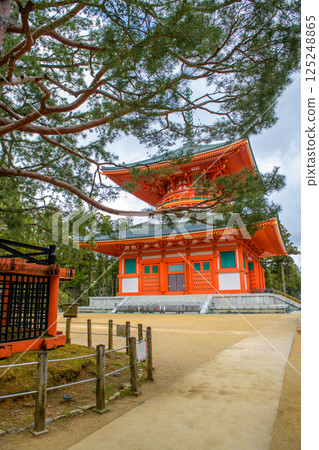 和歌山縣壇上伽藍高野山、三光松和大塔 125248865