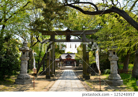 Iikaoka Hachimangu Shrine, a power spot in Hachiman, Ichihara City, Chiba Prefecture Iikaoka Hachimangu Shrine, a power spot in Hachiman, Ichihara City, Chiba Prefecture 125248957