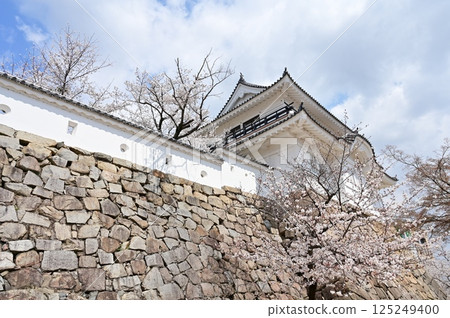 月見塔與染井吉野櫻（福山城） 125249400