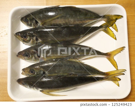 I caught a horse mackerel I caught a horse mackerel 125249423