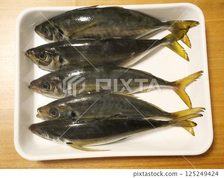 I caught a horse mackerel I caught a horse mackerel 125249424