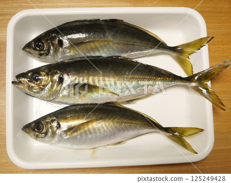 I caught a horse mackerel I caught a horse mackerel 125249428