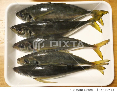 I caught a horse mackerel I caught a horse mackerel 125249643
