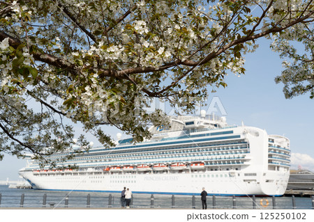 Cherry blossoms at Red Brick Park and the luxury cruise ship Diamond Princess moored at Osanbashi Pier 125250102