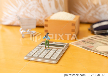 Rice price Rice price Image of household finances, a miniature woman standing in front of a rice box and a bag of rice Rice price Rice price Image of household finances, a miniature woman standing in front of a rice box and a bag of rice 125250168
