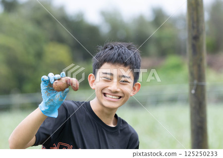 Have fun digging potatoes 125250233