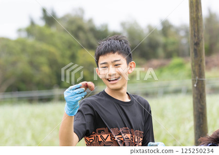 Have fun digging potatoes 125250234