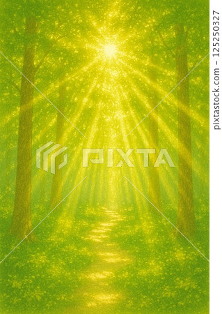 Forest sunlight 125250327