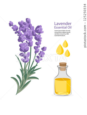 Lavender essential oil in a small bottle Stock illustration 125250334