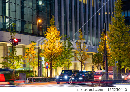 東京皇居附近的人行道和街道景觀,銀杏樹被路燈照亮(東京千代田區) 東京皇居附近的人行道和街道景觀,銀杏樹被路燈照亮(東京千代田區) 125250440