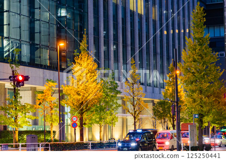 Tokyo sidewalk and streetscape with ginkgo trees lit up by streetlights near the Imperial Palace (Chiyoda Ward, Tokyo) 125250441