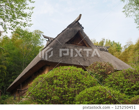 有屋頂的風景 有屋頂的風景 125250451