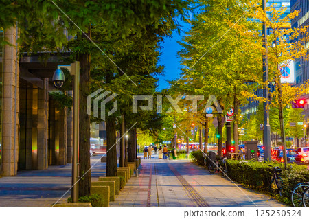 Wide sidewalks and beautiful streetscapes in Tokyo with illuminating ginkgo trees near the Imperial Palace (Chiyoda Ward, Tokyo) 125250524