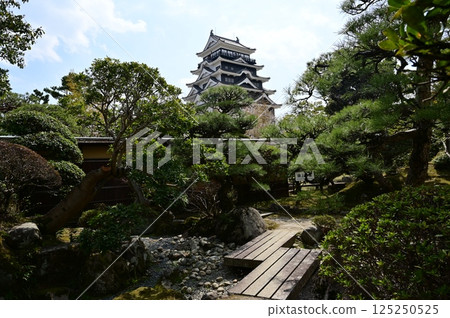 Fukuyama Castle as seen from the gardens of Fukuju Kaikan Hall (Fukuyama Park) 125250525