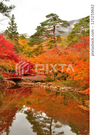 彌彥公園紅葉溪谷的紅葉（新潟縣） 125250682