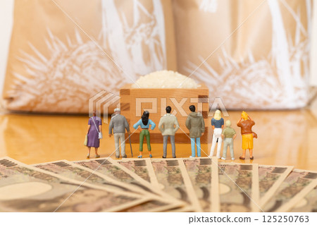 Rice price Rice price Image of a household budget, miniature people standing in front of a rice box and a bag of rice 125250763