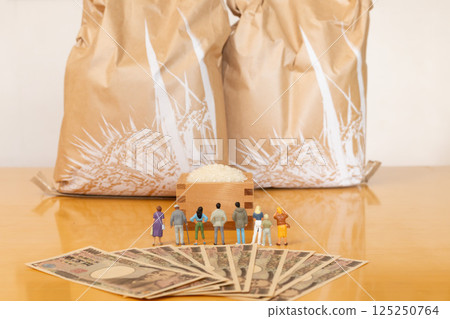 Rice price Rice price Image of a household budget, miniature people standing in front of a rice box and a bag of rice 125250764