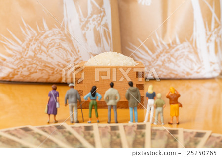 Rice price Rice price Image of a household budget, miniature people standing in front of a rice box and a bag of rice 125250765
