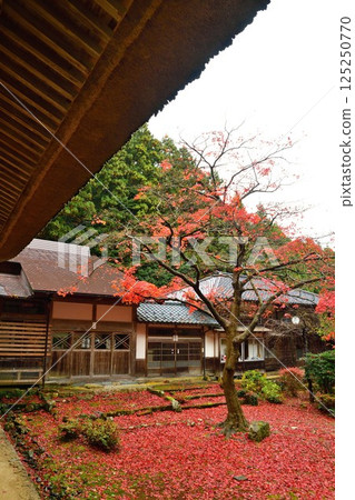 秋色的修月寺（新潟縣） 125250770