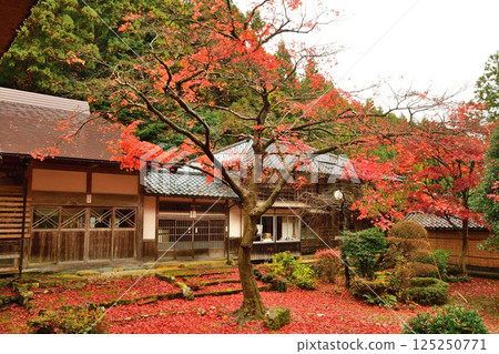 Shugetsuji Temple in autumn colors (Niigata Prefecture) Shugetsuji Temple in autumn colors (Niigata Prefecture) 125250771