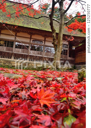 秋色的修月寺(新潟縣) 秋色的修月寺(新潟縣) 125250777