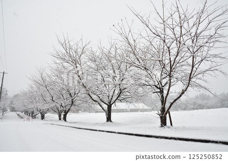 五頭山週邊的雪景（新潟縣） 125250852