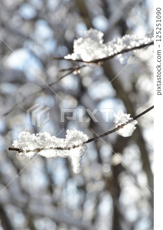 阿賀町的雪景(新潟縣) 阿賀町的雪景(新潟縣) 125251090