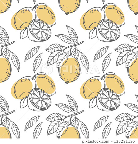 Lemon seamless pattern. Hand drawn outline citrus fruits on a white background. Illustration. 125251150