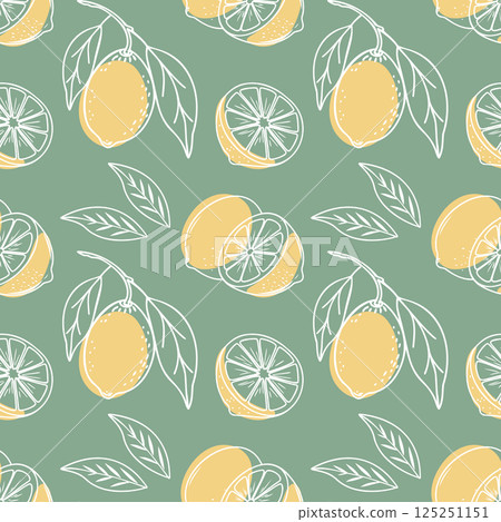 Lemon seamless pattern. Hand drawn outline citrus fruits on a green background. Illustration. 125251151