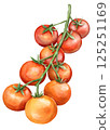 Tuna of mini tomatoes 125251169